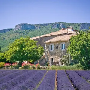Bed and breakfast Chez Bacchus 